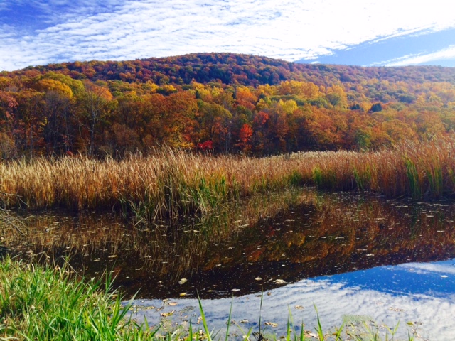manitou-preserve-entrance