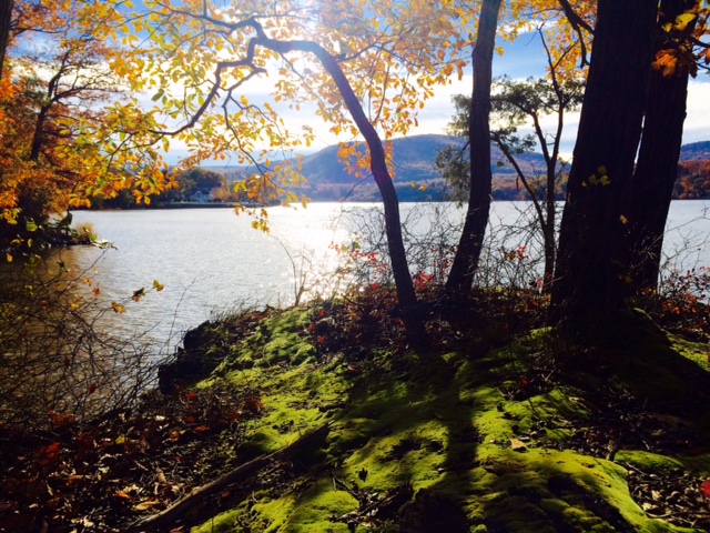 manitou-preserve-hudson-river-bank