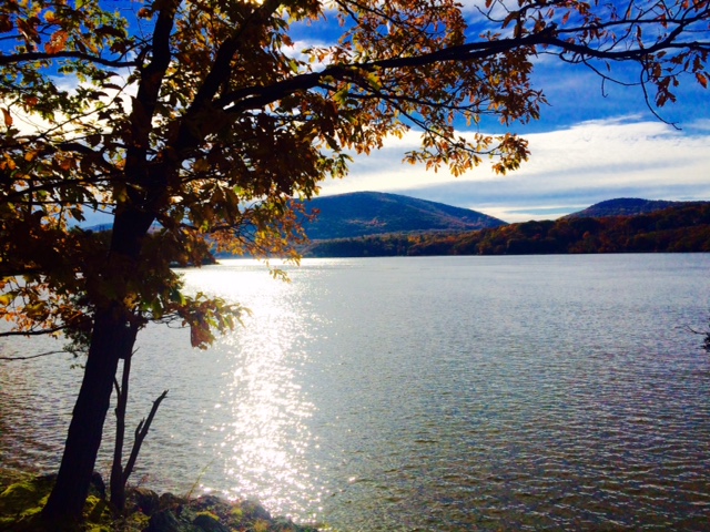 manitou-preserve-hudson-river