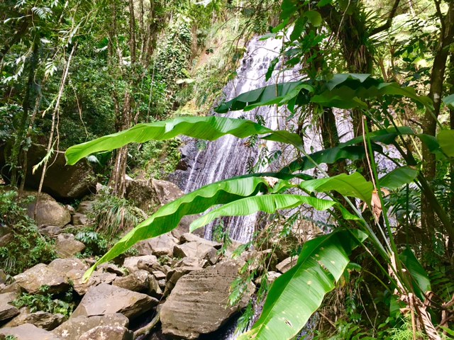 FullSizeRender copy 4