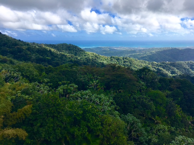 FullSizeRender_1 copy 3