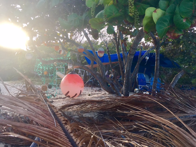 FullSizeRender_1 copy