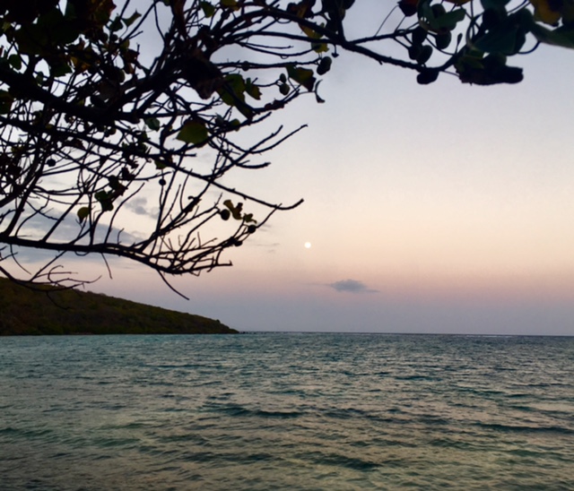 FullSizeRender_4 copy