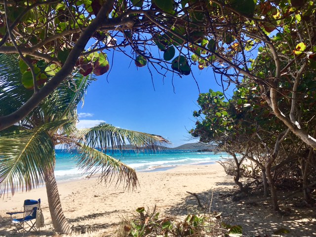 FullSizeRender_5 copy